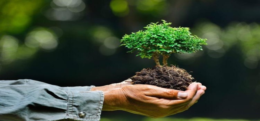 Mengenal Situs dlhindonesia.id: Mendukung Pembangunan Berkelanjutan Menuju Indonesia Emas 2045