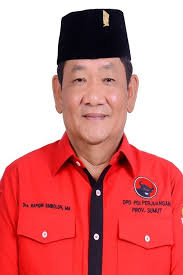 Rapidin Simbolon, PDI?P: Kepemimpinan Ganda sebagai Ketua DPD dan Anggota DPR