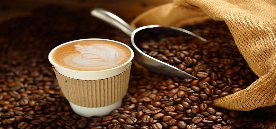 Jenis Jenis Kopi Yang Wajib Di Ketahui Barista