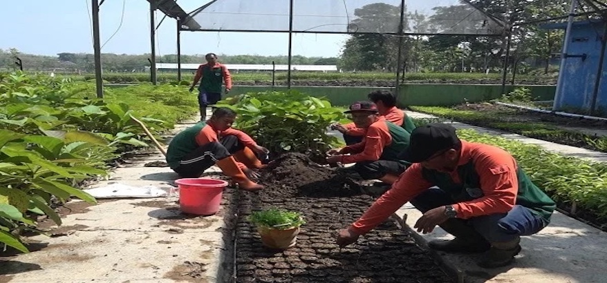 Dlhjawatengah.id: Penggerak Digitalisasi Pelestarian Lingkungan di Jawa Tengah dan Manfaatnya