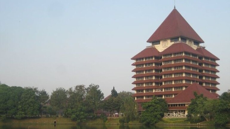 Passing Grade SNBT UI: Berapa Nilai yang Harus Kamu Capai?